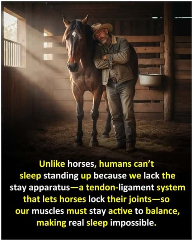 Cool and Interesting Facts #470 (22 photos)