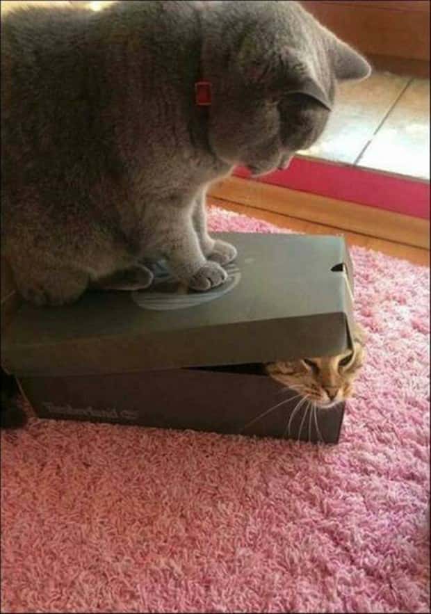 Klyker Picdump #1919 (44 photos)