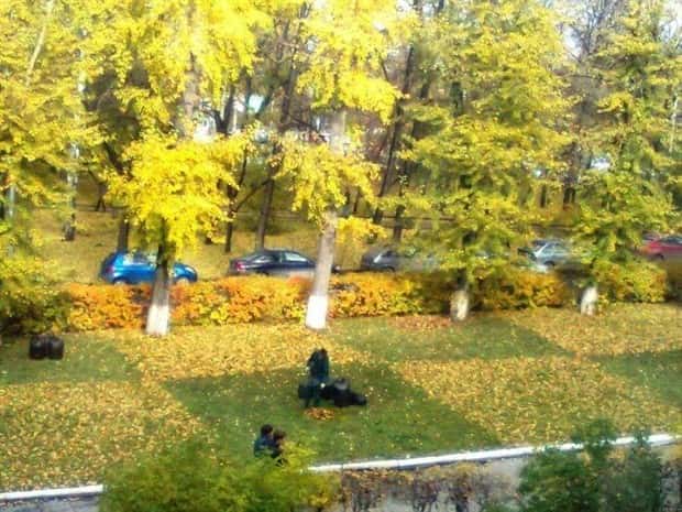 Klyker Picdump #1919 (44 photos)