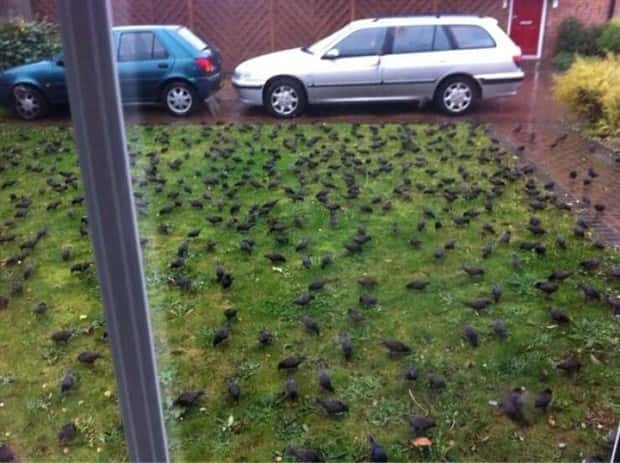 Klyker Picdump #1919 (44 photos)