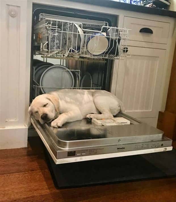 Klyker Picdump #1920 (45 photos)
