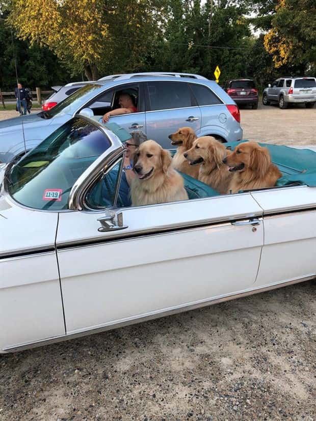 Klyker Picdump #1921 (41 photos)