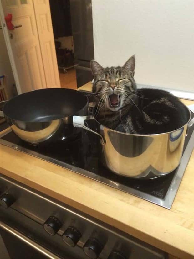 Klyker Picdump #1921 (41 photos)