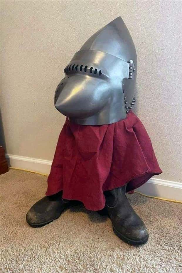Klyker Picdump #1923 (43 photos)