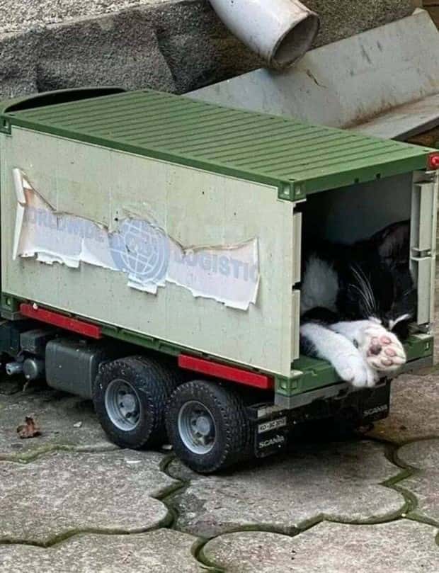 Klyker Picdump #1923 (43 photos)