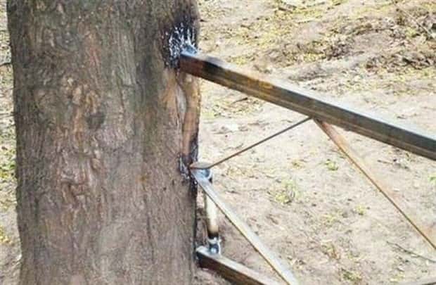 Klyker Picdump #1924 (44 photos)