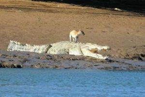 Klyker Picdump #1924 (44 photos)