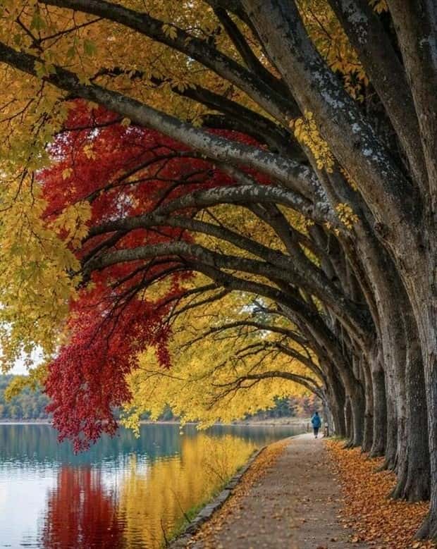 klyker picdump 2 2 2026 12 Klyker Picdump #1911 (41 photos)