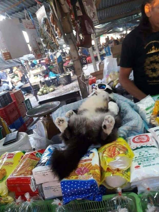 klyker picdump 2 2 2026 19 Klyker Picdump #1911 (41 photos)