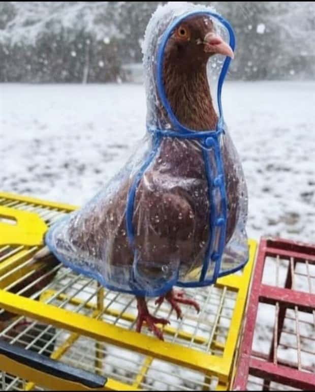 klyker picdump 2 2 2026 2 Klyker Picdump #1911 (41 photos)