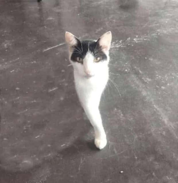 klyker picdump 2 2 2026 22 Klyker Picdump #1911 (41 photos)