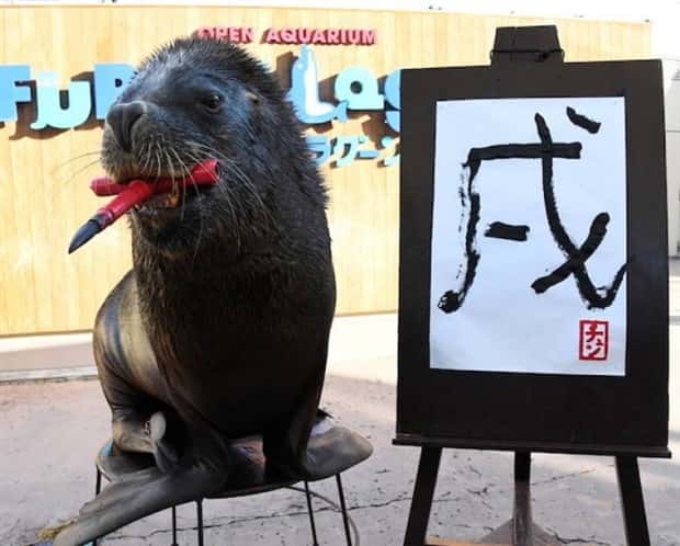 klyker picdump 2 2 2026 25 Klyker Picdump #1911 (41 photos)