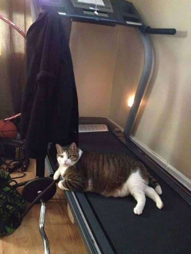 klyker picdump 2 2 2026 33 Klyker Picdump #1911 (41 photos)