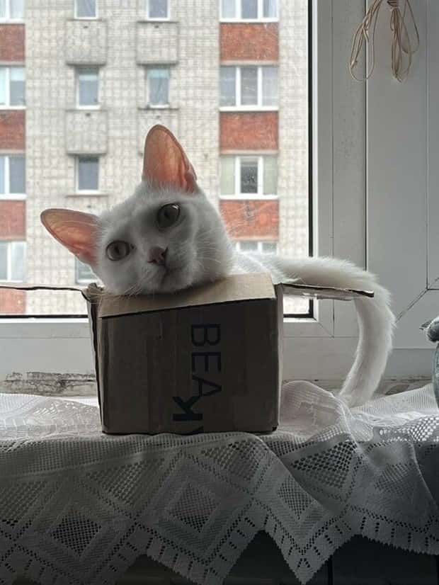 klyker picdump 2 2 2026 36 Klyker Picdump #1911 (41 photos)