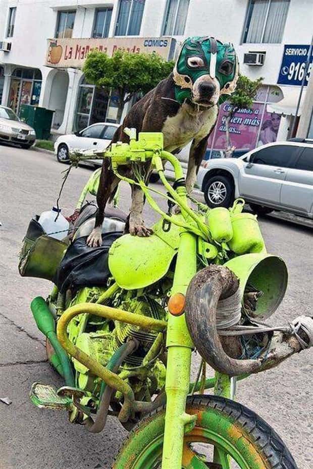 Klyker Picdump #1925 (45 photos)