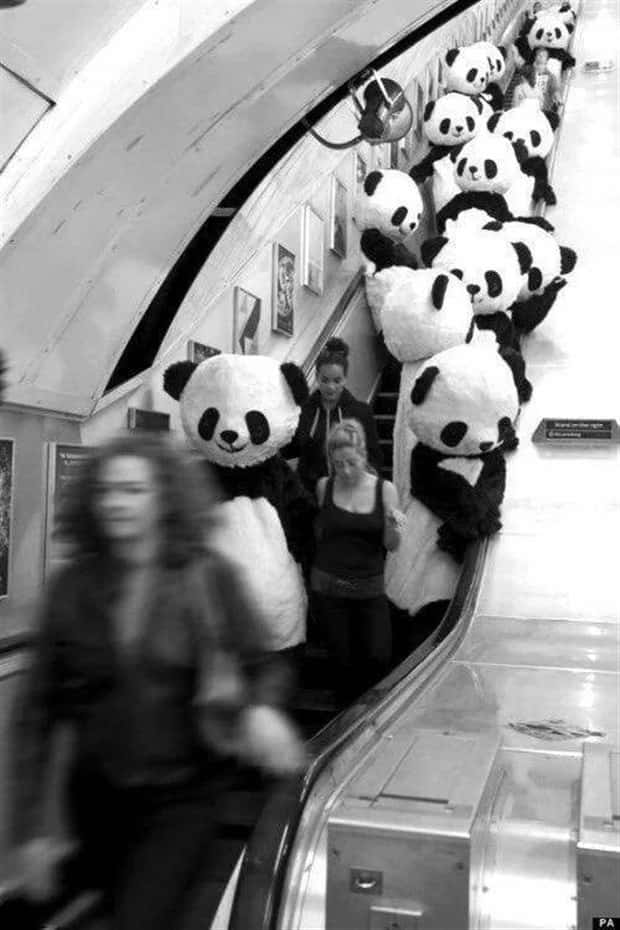 Klyker Picdump #1925 (45 photos)