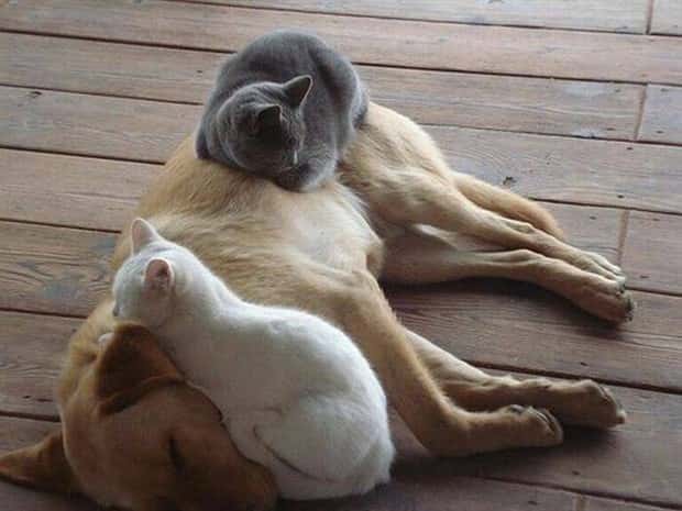 Klyker Picdump #1926 (41 photos)