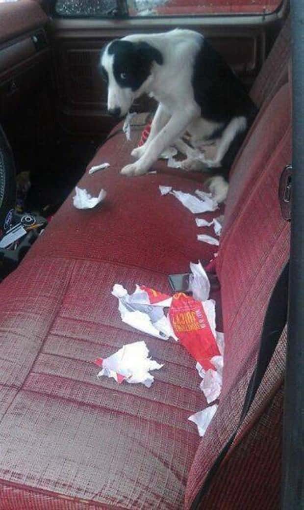 Klyker Picdump #1926 (41 photos)