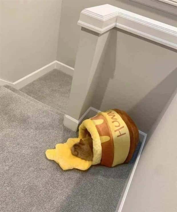 Klyker Picdump #1927 (42 photos)