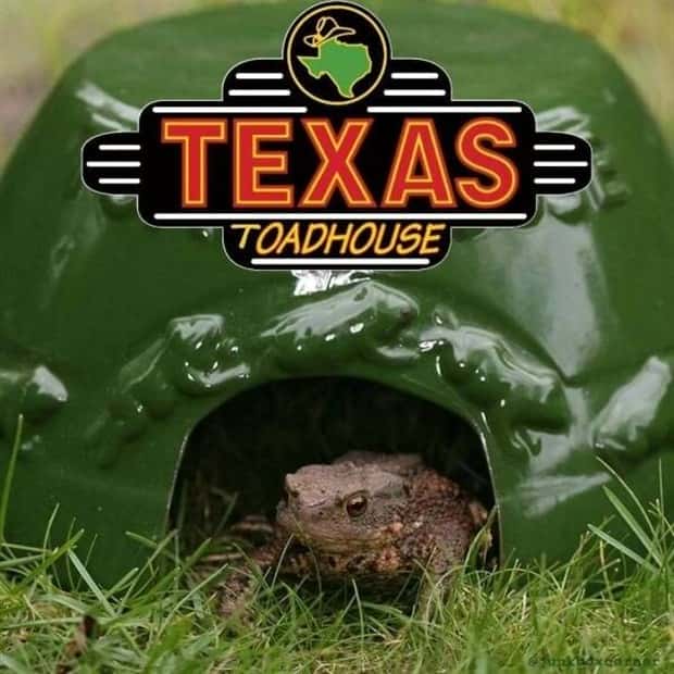 Klyker Picdump #1927 (42 photos)