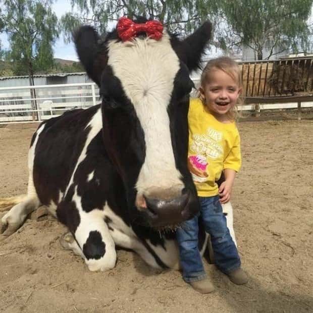 Klyker Picdump #1927 (42 photos)