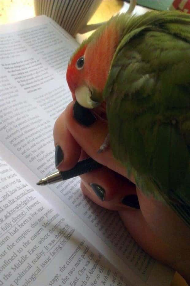 Klyker Picdump #1927 (42 photos)