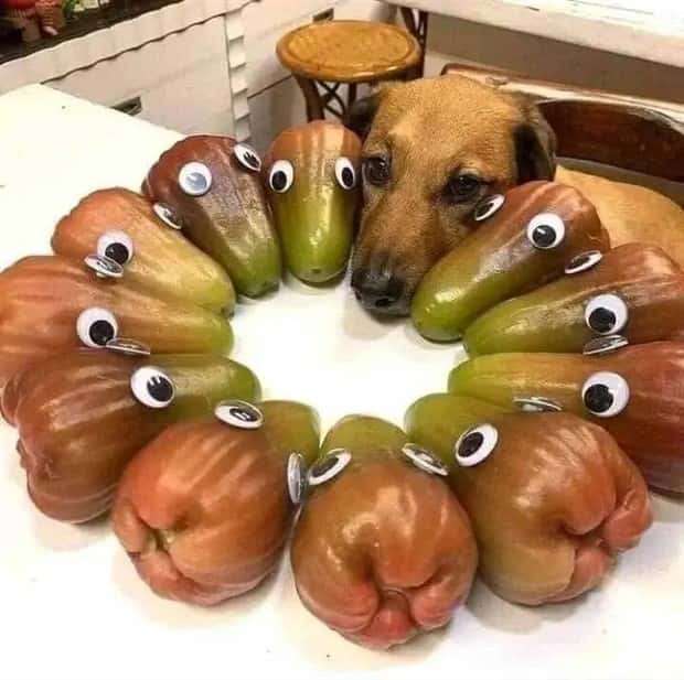 Klyker Picdump #1928 (43 photos)