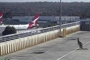 Klyker Picdump #1928 (43 photos)