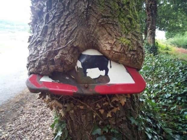 Klyker Picdump #1928 (43 photos)