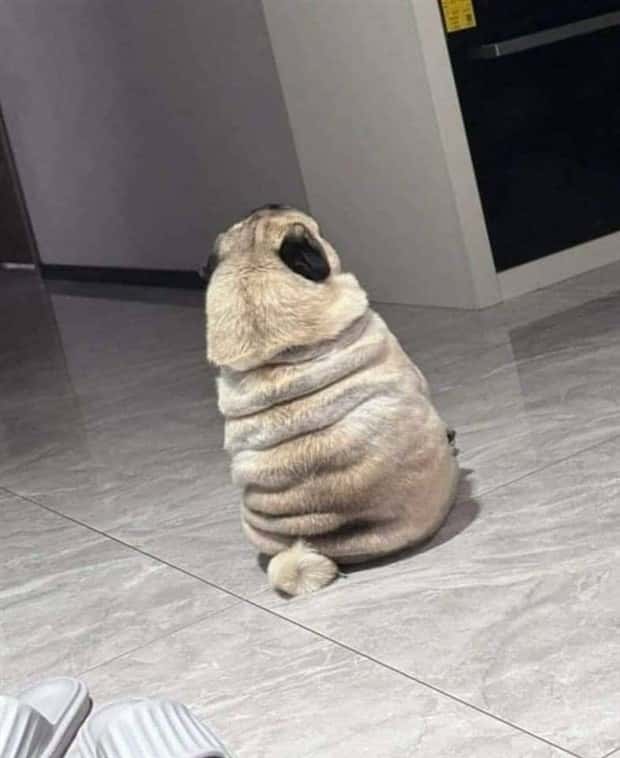 klyker picdump 2 27 2026 38 Klyker Picdump #1930 (45 photos)