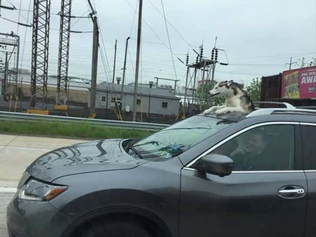 klyker picdump 2 27 2026 39 Klyker Picdump #1930 (45 photos)