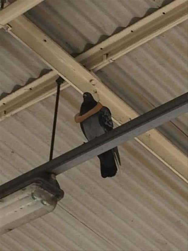 klyker picdump 2 27 2026 41 Klyker Picdump #1930 (45 photos)