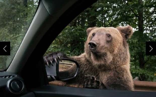 Klyker Picdump #1915 (45 photos)