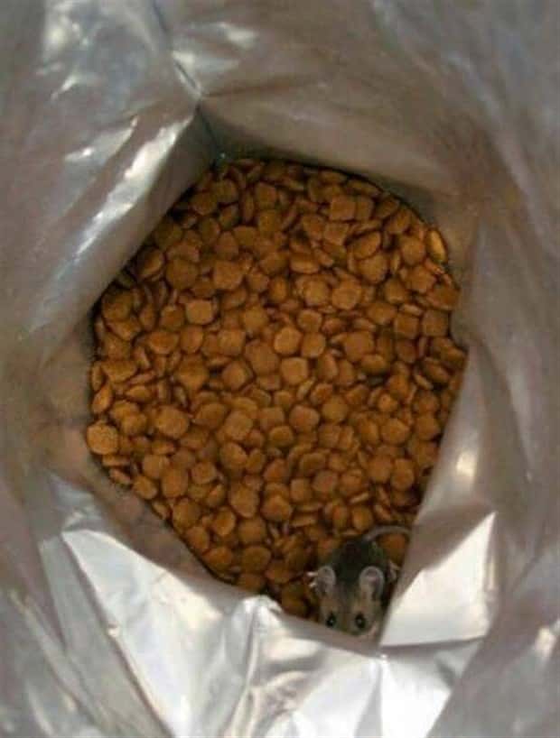 Klyker Picdump #1916 (41 photos)