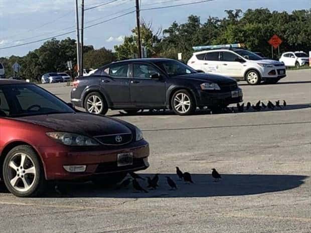 Klyker Picdump #1916 (41 photos)