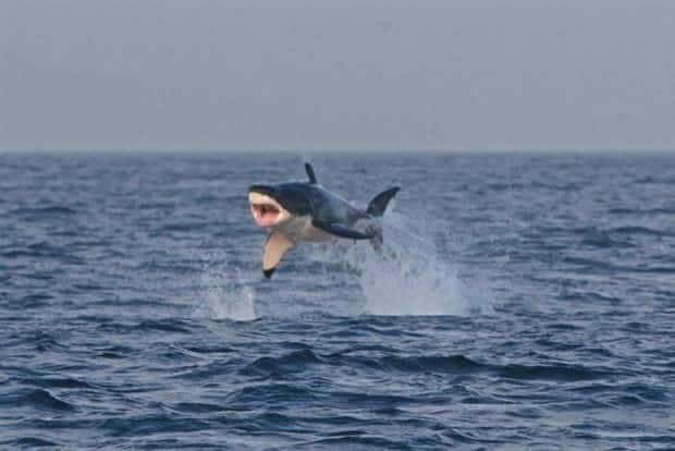 Klyker Picdump #1916 (41 photos)