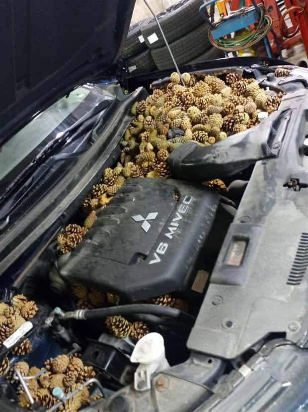 Klyker Picdump #1916 (41 photos)