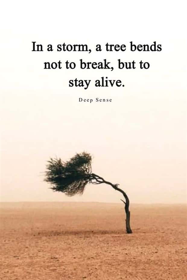 Motivational Quotes, Because It’s Monday #191 (21 photos)