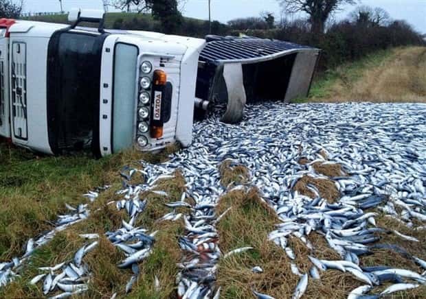 Shit Happens Regularly, Get Used To It #368 (19 photos)