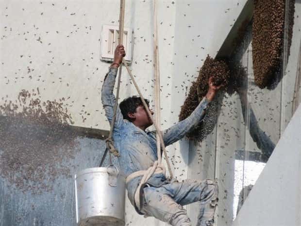 Shit Happens Regularly, Get Used To It #368 (19 photos)