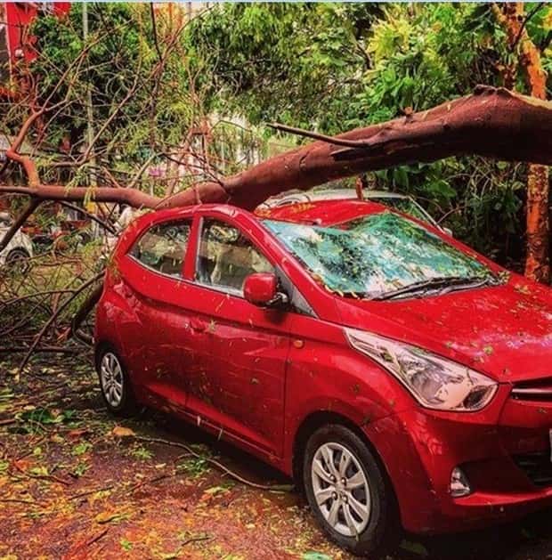 Shit Happens Regularly, Get Used To It #368 (19 photos)