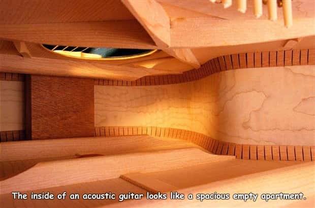 Interesting Pictures with Captions #195 (17 photos)