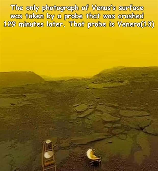 Interesting Pictures with Captions #196 (19 photos)