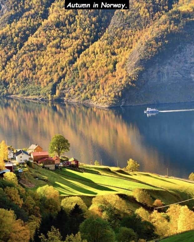 Interesting Pictures with Captions #195 (17 photos)