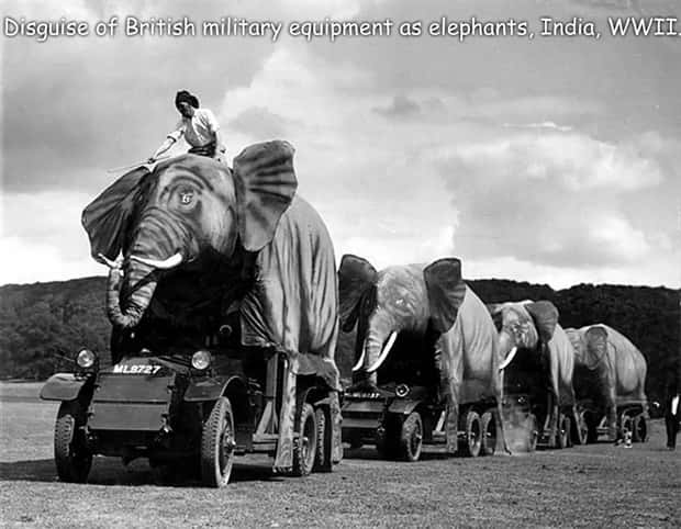 Interesting Pictures with Captions #195 (17 photos)