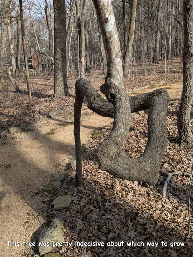 Interesting Pictures with Captions #196 (19 photos)