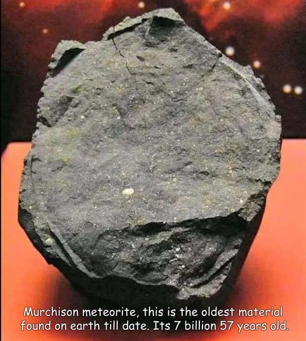 Interesting Pictures with Captions #193 (21 photos)