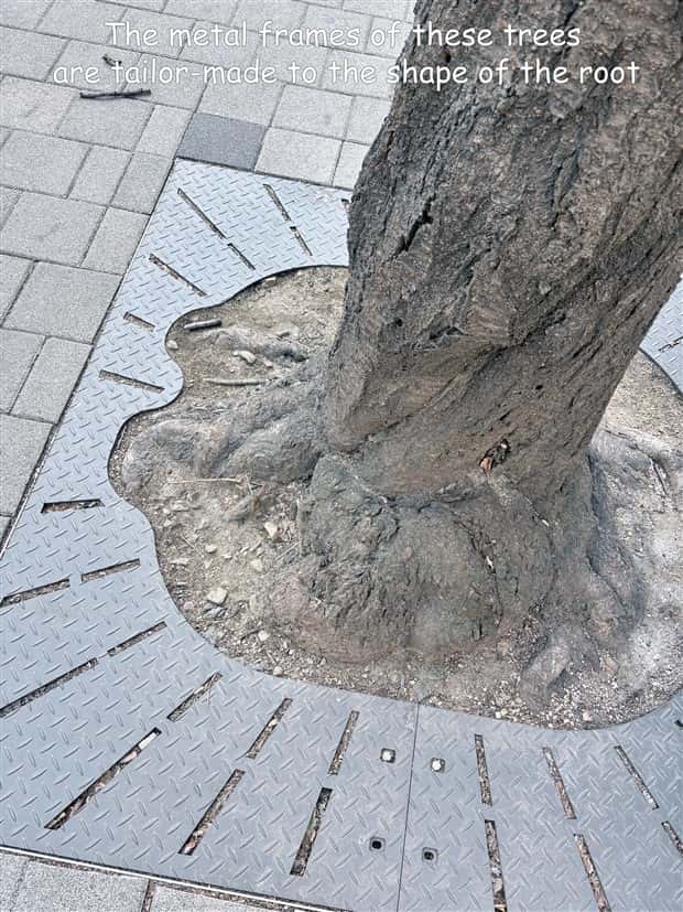 Interesting Pictures with Captions #195 (17 photos)