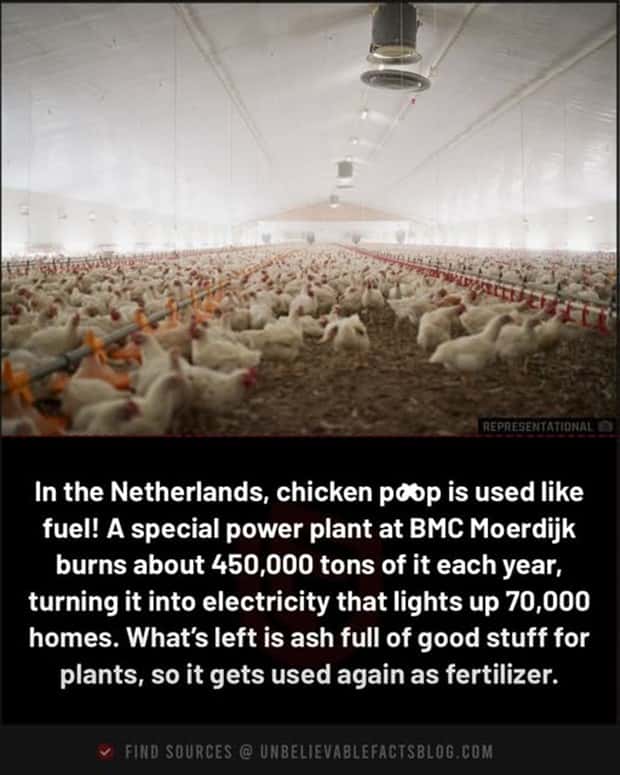 Cool and Interesting Facts #469 (21 photos)