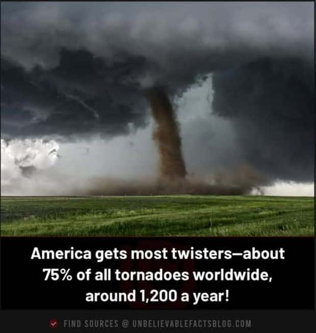 Cool and Interesting Facts #469 (21 photos)